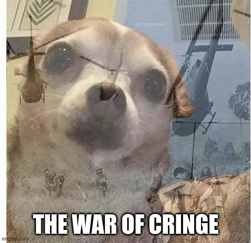 PTSD Chihuahua | THE WAR OF CRINGE | image tagged in ptsd chihuahua | made w/ Imgflip meme maker