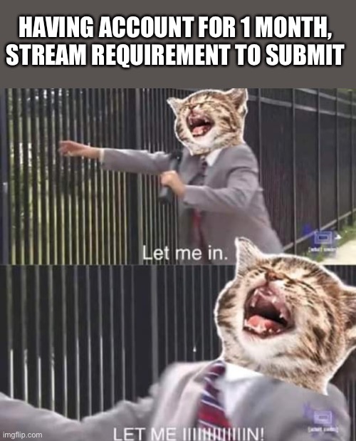 HAVING ACCOUNT FOR 1 MONTH, STREAM REQUIREMENT TO SUBMIT | made w/ Imgflip meme maker
