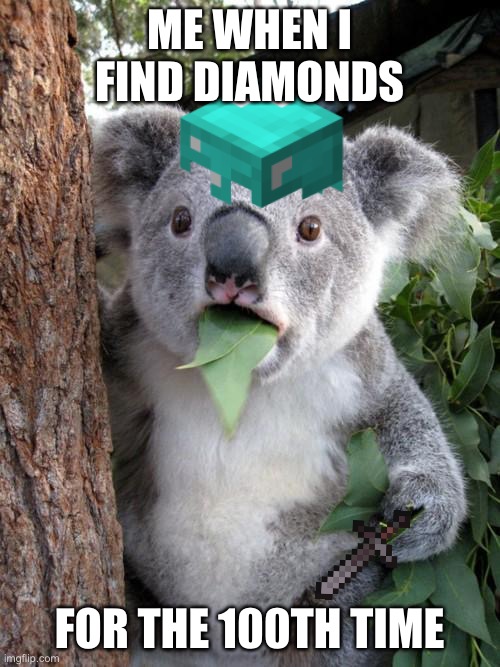 Surprised Koala | ME WHEN I FIND DIAMONDS; FOR THE 100TH TIME | image tagged in memes,surprised koala | made w/ Imgflip meme maker