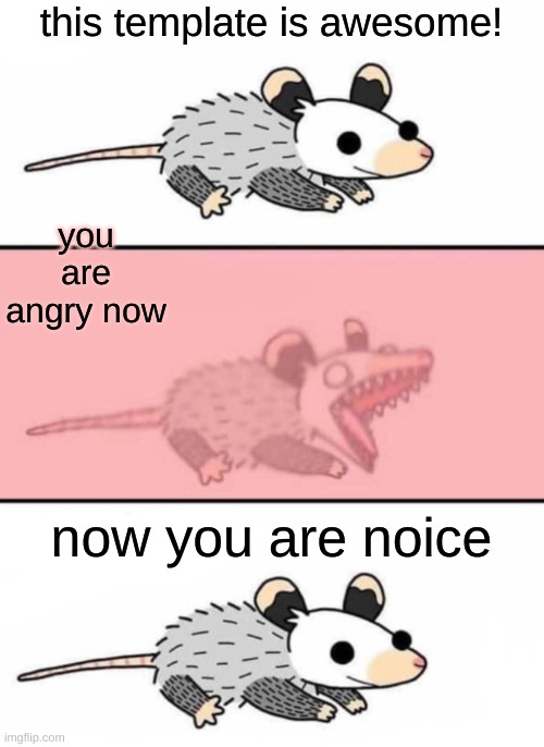 Possum kalm panik kalm | this template is awesome! you are angry now now you are noice | image tagged in possum kalm panik kalm | made w/ Imgflip meme maker