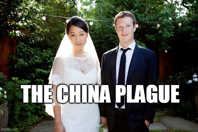 China Plague | THE CHINA PLAGUE | image tagged in mark zuckerberg,coronavirus,covid,china virus | made w/ Imgflip meme maker