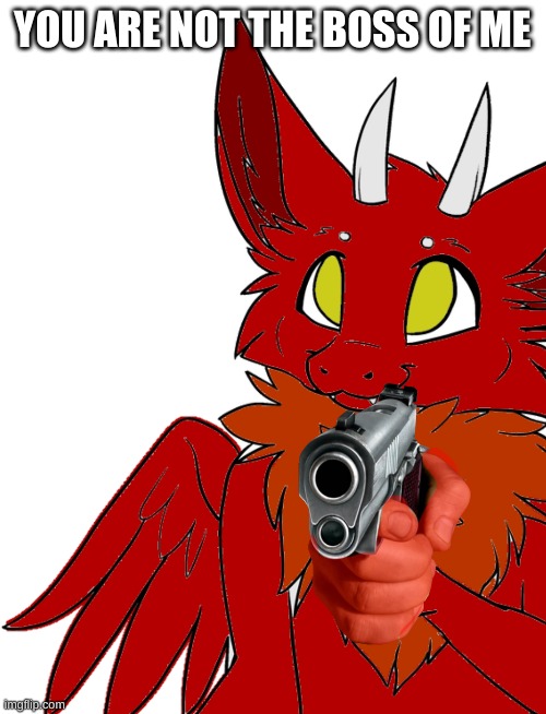 YOU ARE NOT THE BOSS OF ME | image tagged in blaze with gun | made w/ Imgflip meme maker