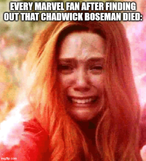 So sad. | EVERY MARVEL FAN AFTER FINDING OUT THAT CHADWICK BOSEMAN DIED: | image tagged in avengers,avengers infinity war,marvel cinematic universe,chadwick boseman | made w/ Imgflip meme maker