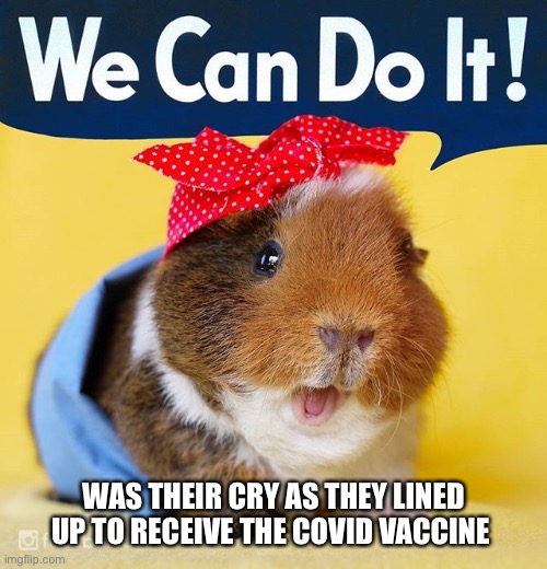 Guinea Pigs | WAS THEIR CRY AS THEY LINED UP TO RECEIVE THE COVID VACCINE | image tagged in covid19,vaccines | made w/ Imgflip meme maker