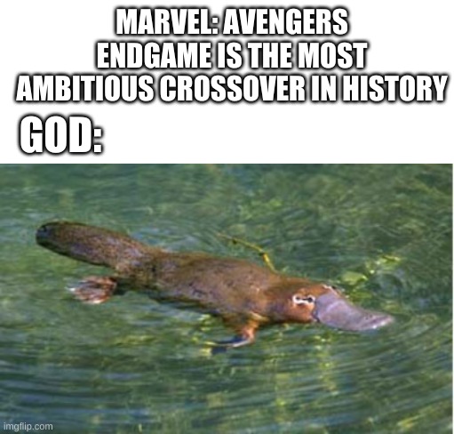 its tru | MARVEL: AVENGERS ENDGAME IS THE MOST AMBITIOUS CROSSOVER IN HISTORY; GOD: | image tagged in memes,funny,platypus,crossover,god,marvel | made w/ Imgflip meme maker