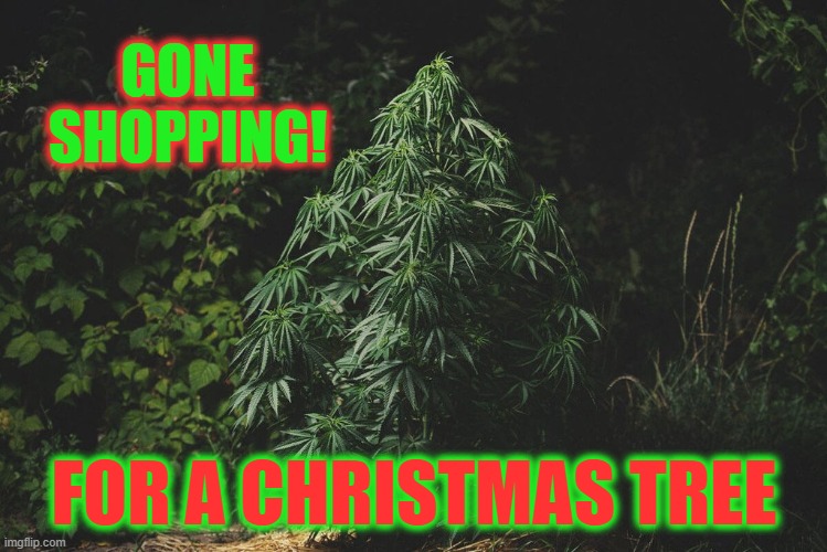 Christmas Tree Shopping | GONE SHOPPING! FOR A CHRISTMAS TREE | image tagged in joy the world,christmas,christmas tree,happy holidays | made w/ Imgflip meme maker