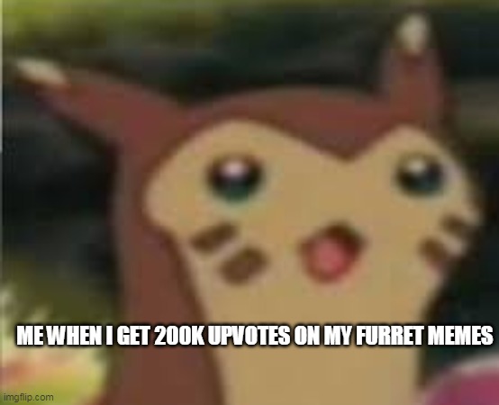 furret surprised | ME WHEN I GET 200K UPVOTES ON MY FURRET MEMES | image tagged in furret surprised | made w/ Imgflip meme maker