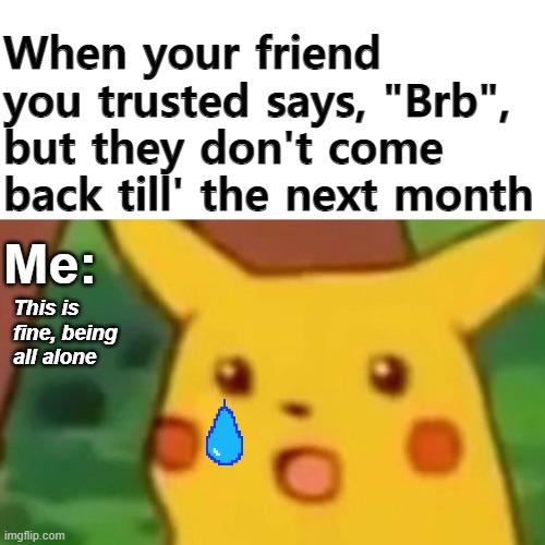 Surprised Pikachu Meme | When your friend you trusted says, "Brb", but they don't come back till' the next month; Me:; This is fine, being all alone | image tagged in memes,surprised pikachu | made w/ Imgflip meme maker