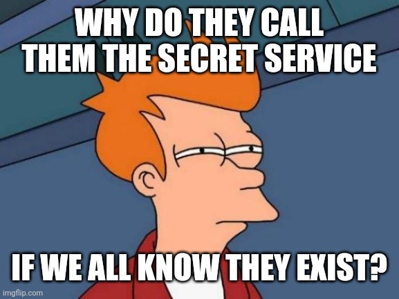 Hmm. | WHY DO THEY CALL THEM THE SECRET SERVICE; IF WE ALL KNOW THEY EXIST? | image tagged in memes,futurama fry,presidents,protection,national security | made w/ Imgflip meme maker