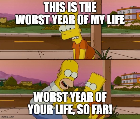Simpsons so far | THIS IS THE WORST YEAR OF MY LIFE; WORST YEAR OF YOUR LIFE, SO FAR! | image tagged in simpsons so far | made w/ Imgflip meme maker