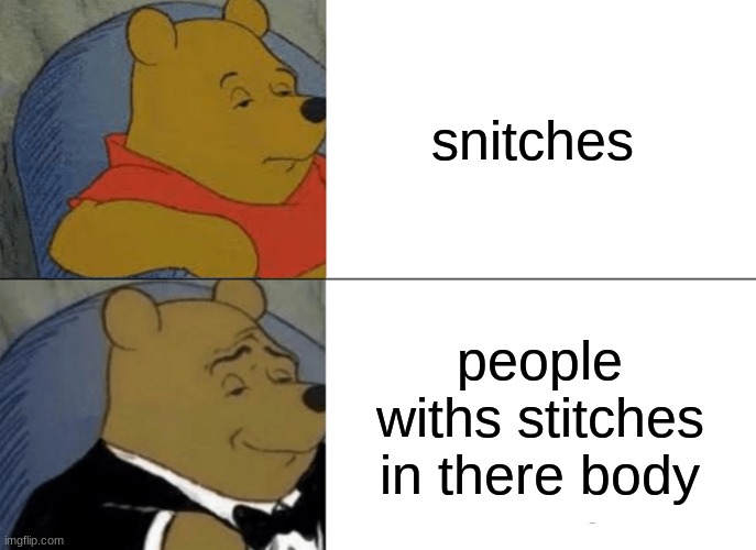 Tuxedo Winnie The Pooh Meme | snitches; people withs stitches in there body | image tagged in memes,tuxedo winnie the pooh | made w/ Imgflip meme maker