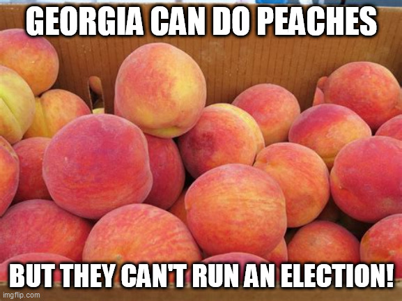 georgia | GEORGIA CAN DO PEACHES; BUT THEY CAN'T RUN AN ELECTION! | image tagged in 2020 elections | made w/ Imgflip meme maker