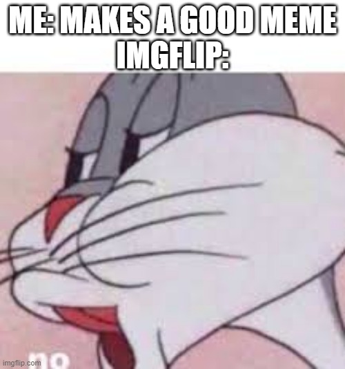 True | ME: MAKES A GOOD MEME
IMGFLIP: | image tagged in memes,no bugs bunny | made w/ Imgflip meme maker