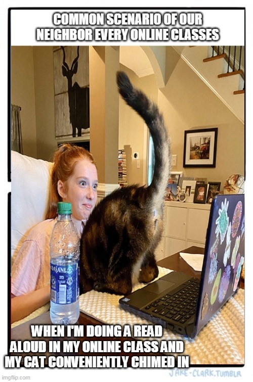 MEOW | WHEN I'M DOING A READ ALOUD IN MY ONLINE CLASS AND MY CAT CONVENIENTLY CHIMED IN | image tagged in butt,cat | made w/ Imgflip meme maker