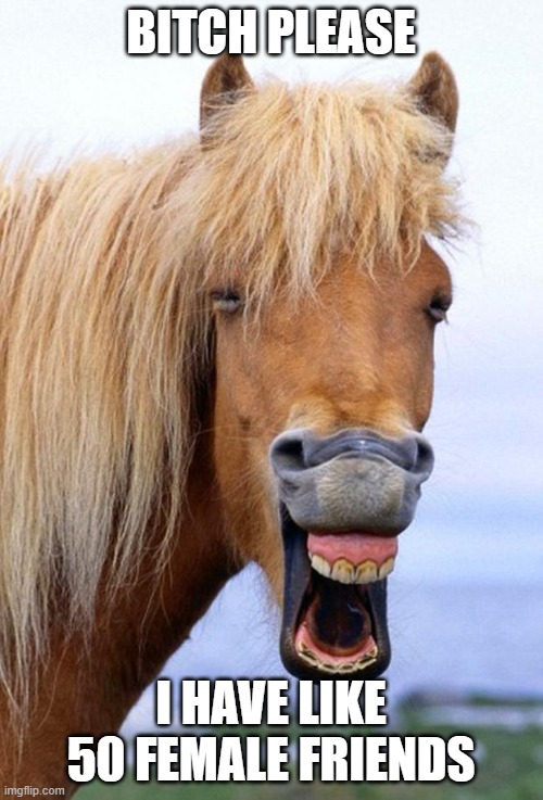 bitch please - horse | BITCH PLEASE I HAVE LIKE 50 FEMALE FRIENDS | image tagged in bitch please - horse | made w/ Imgflip meme maker