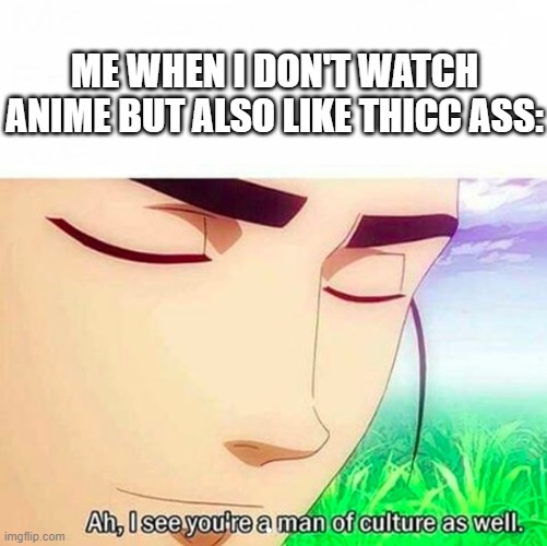 Ah,I see you are a man of culture as well | ME WHEN I DON'T WATCH ANIME BUT ALSO LIKE THICC ASS: | image tagged in ah i see you are a man of culture as well | made w/ Imgflip meme maker