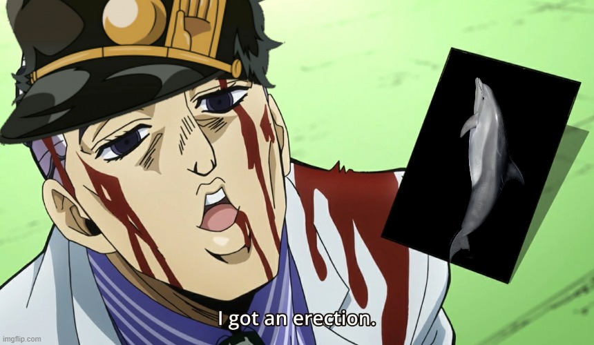 Kira Erection Meme | image tagged in kira erection meme | made w/ Imgflip meme maker