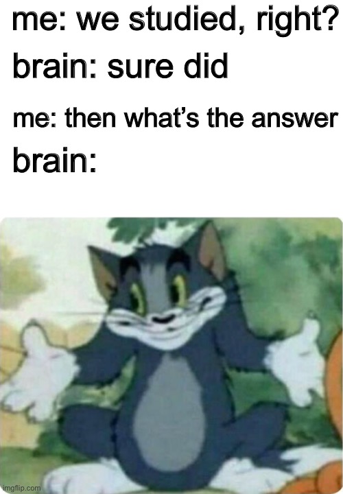 what’s the point then??? | me: we studied, right? brain: sure did; me: then what’s the answer; brain: | image tagged in tom shrugging,brain,funny,school,memes | made w/ Imgflip meme maker