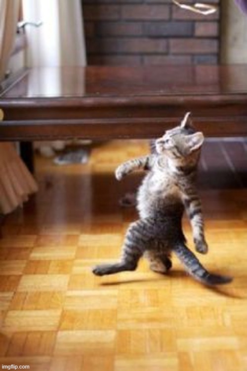 Walking cat  | image tagged in walking cat | made w/ Imgflip meme maker