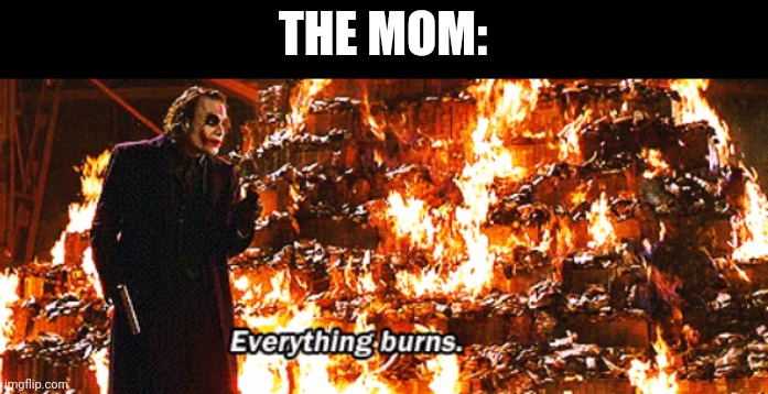 Everything burns | THE MOM: | image tagged in everything burns | made w/ Imgflip meme maker