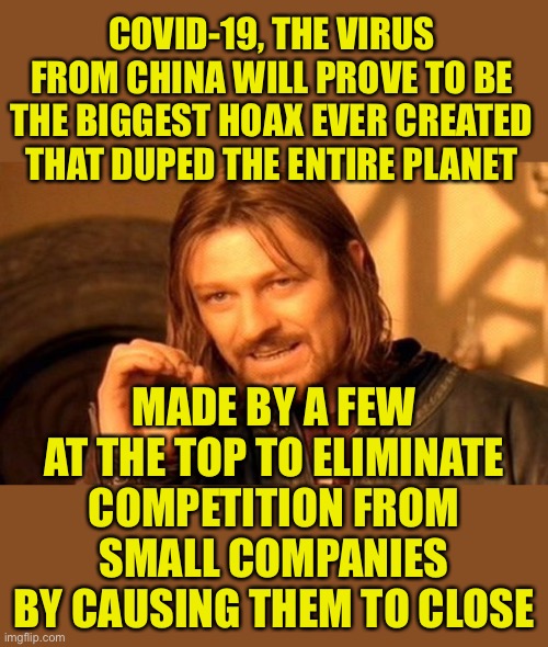 Many others also profited from this fraud | COVID-19, THE VIRUS FROM CHINA WILL PROVE TO BE THE BIGGEST HOAX EVER CREATED THAT DUPED THE ENTIRE PLANET; MADE BY A FEW AT THE TOP TO ELIMINATE COMPETITION FROM SMALL COMPANIES BY CAUSING THEM TO CLOSE | image tagged in memes,one does not simply,the dems for one,and liberty suffered deeply | made w/ Imgflip meme maker