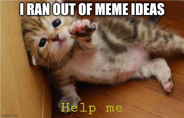 I'm out of ideas | I RAN OUT OF MEME IDEAS; Help me | image tagged in help me kitten | made w/ Imgflip meme maker