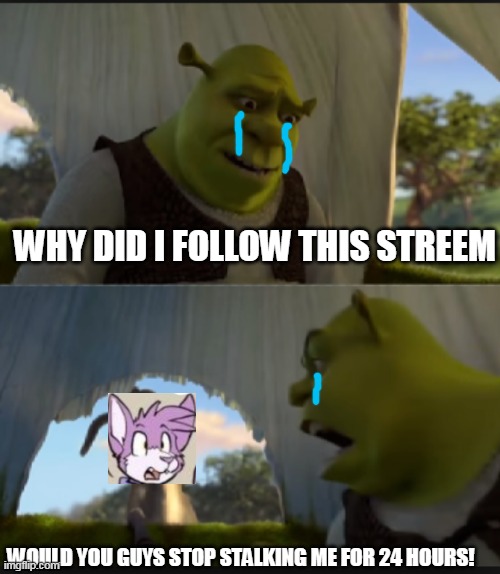 DO NOT STALK ME EVER AGAIN :SOB: | WHY DID I FOLLOW THIS STREEM; WOULD YOU GUYS STOP STALKING ME FOR 24 HOURS! | image tagged in can you stop talking | made w/ Imgflip meme maker