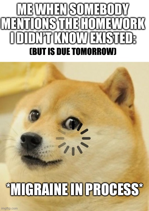 ME WHEN SOMEBODY MENTIONS THE HOMEWORK I DIDN’T KNOW EXISTED:; (BUT IS DUE TOMORROW); *MIGRAINE IN PROCESS* | image tagged in memes,doge | made w/ Imgflip meme maker