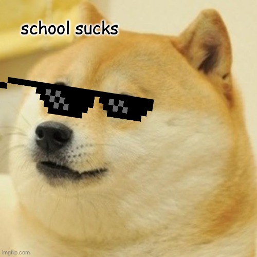 Doge Meme | school sucks | image tagged in memes,doge | made w/ Imgflip meme maker
