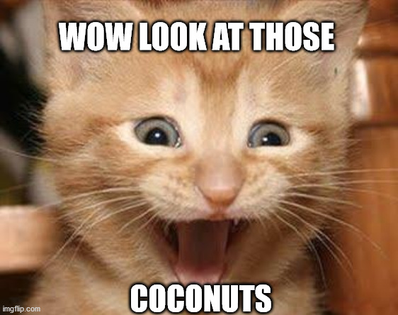 Excited Cat | WOW LOOK AT THOSE; COCONUTS | image tagged in memes,excited cat | made w/ Imgflip meme maker