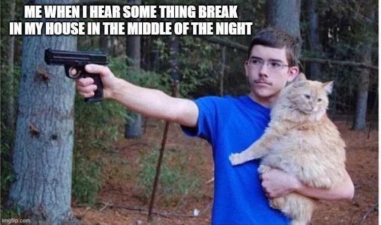well if some one is going to break in to my house am ready | ME WHEN I HEAR SOME THING BREAK IN MY HOUSE IN THE MIDDLE OF THE NIGHT | image tagged in gun,cat | made w/ Imgflip meme maker