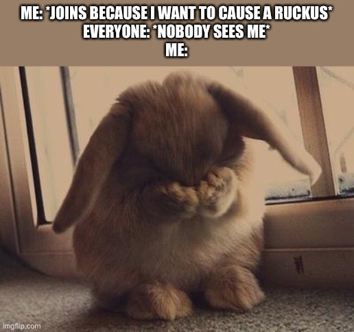 Sad Bunny | ME: *JOINS BECAUSE I WANT TO CAUSE A RUCKUS*
EVERYONE: *NOBODY SEES ME*
ME: | image tagged in sad bunny | made w/ Imgflip meme maker