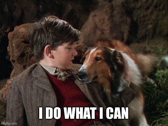Lassie saves the day | I DO WHAT I CAN | image tagged in lassie saves the day | made w/ Imgflip meme maker