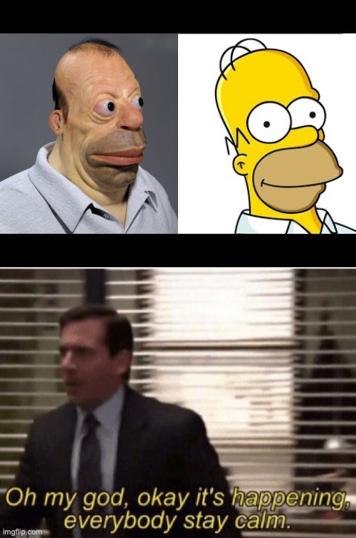 It looks like he has came become real lol | image tagged in homer simpson,the simpsons,the office | made w/ Imgflip meme maker