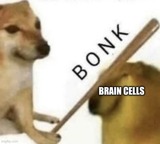 Bonk | BRAIN CELLS | image tagged in bonk | made w/ Imgflip meme maker