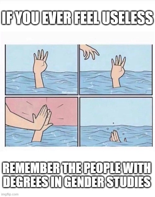 If you ever feel useless... | IF YOU EVER FEEL USELESS; REMEMBER THE PEOPLE WITH DEGREES IN GENDER STUDIES | image tagged in drowning highfive,gender studies,college liberal | made w/ Imgflip meme maker