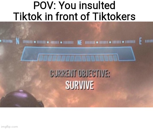I hate Tiktok so much | POV: You insulted Tiktok in front of Tiktokers | image tagged in current objective survive,tik tok sucks,tik tok | made w/ Imgflip meme maker