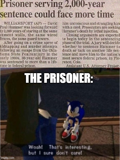 plot twist: they are an immortal | THE PRISONER: | image tagged in sonic i dont care | made w/ Imgflip meme maker