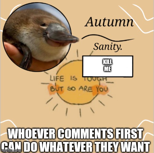 THREE MINUTES. NOTHING TOO NSFW. | KILL ME; WHOEVER COMMENTS FIRST CAN DO WHATEVER THEY WANT | image tagged in e | made w/ Imgflip meme maker