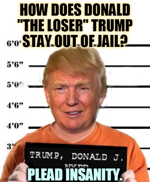 Trump's only hope. | HOW DOES DONALD "THE LOSER" TRUMP STAY OUT OF JAIL? PLEAD INSANITY. | image tagged in trump,crooked,criminal,insane,nutcase,crazy | made w/ Imgflip meme maker