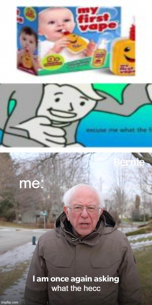 seriously what the frick | me:; what the hecc | image tagged in memes,bernie i am once again asking for your support | made w/ Imgflip meme maker