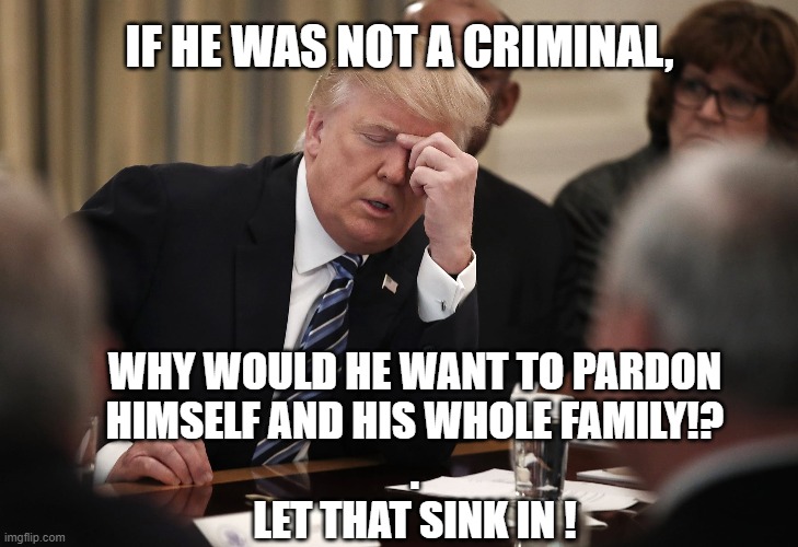 If Trump wasn't a criminal..... | IF HE WAS NOT A CRIMINAL, WHY WOULD HE WANT TO PARDON
HIMSELF AND HIS WHOLE FAMILY!?
.
LET THAT SINK IN ! | image tagged in trump,election 2020,criminal,pardon,crime,jail | made w/ Imgflip meme maker