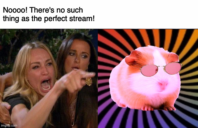 Caption Unnecessary | Noooo! There's no such thing as the perfect stream! | image tagged in memes,guinea pig | made w/ Imgflip meme maker