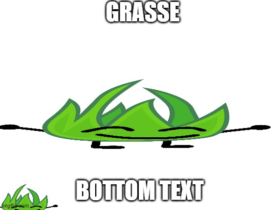 grasse | GRASSE; BOTTOM TEXT | image tagged in grassy bfb,bfb,bfdi | made w/ Imgflip meme maker