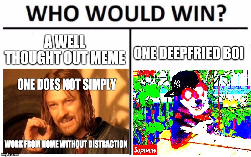 idk, who would win? :/ | A WELL THOUGHT OUT MEME; ONE DEEPFRIED BOI | image tagged in memes,who would win,i'm 15 so don't try it,who reads these | made w/ Imgflip meme maker