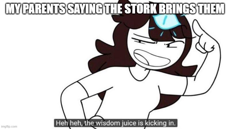 Jaiden animations wisdom juice | MY PARENTS SAYING THE STORK BRINGS THEM | image tagged in jaiden animations wisdom juice | made w/ Imgflip meme maker