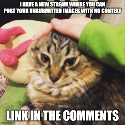 Kitty Cat | I HAVE A NEW STREAM WHERE YOU CAN POST YOUR UNSUBMITTED IMAGES WITH NO CONTEXT; LINK IN THE COMMENTS | image tagged in kitty cat,new stream | made w/ Imgflip meme maker