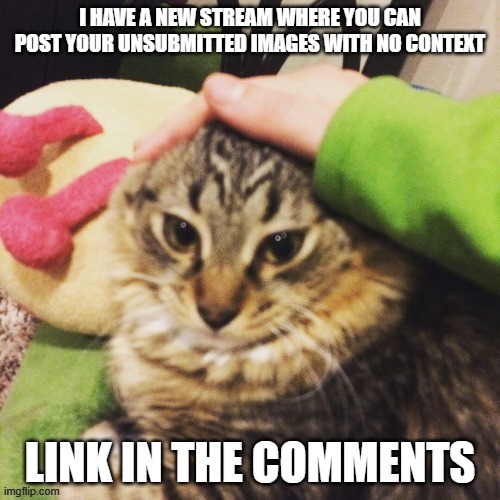 image tagged in new stream | made w/ Imgflip meme maker