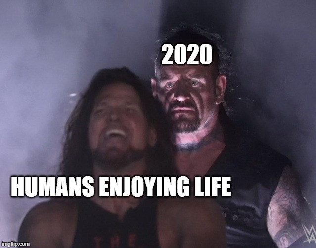 undertaker | 2020; HUMANS ENJOYING LIFE | image tagged in undertaker | made w/ Imgflip meme maker