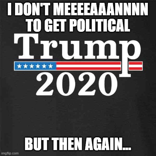 Trump 2020 | I DON'T MEEEEAAANNNN TO GET POLITICAL; BUT THEN AGAIN... | image tagged in trump 2020 | made w/ Imgflip meme maker